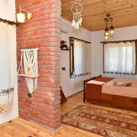 Holiday home Assos Assinos *